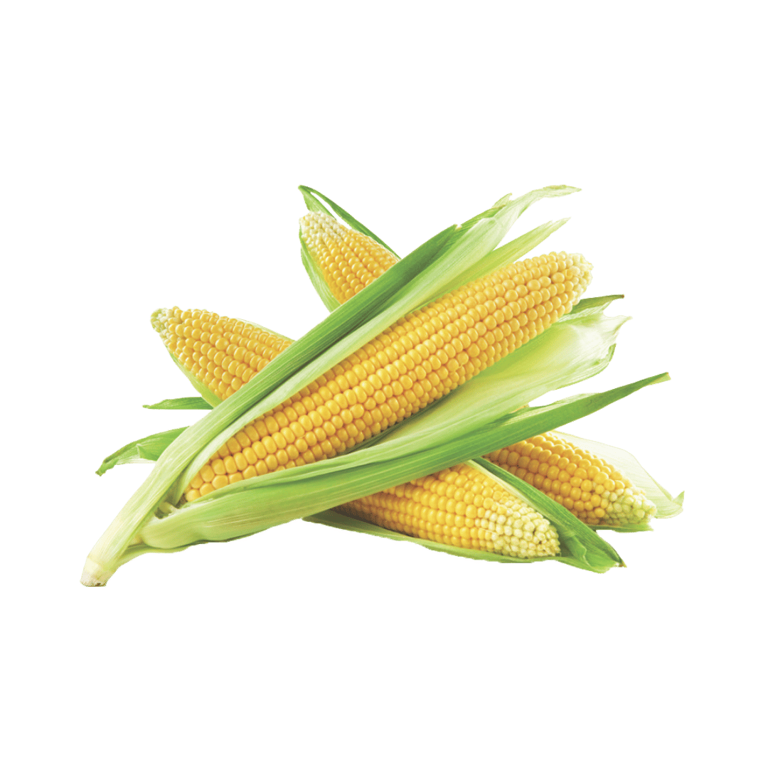 Sweet Corn 2 / 79¢