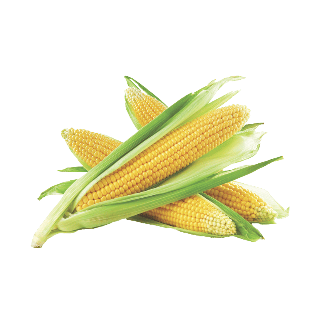 Sweet Corn 3 / 97¢