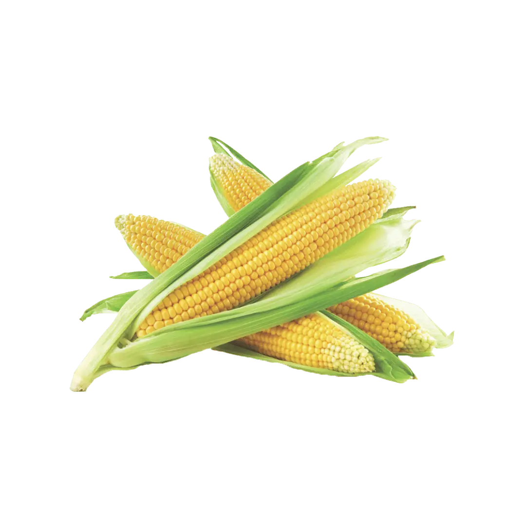 Sweet Corn 3 / 97¢