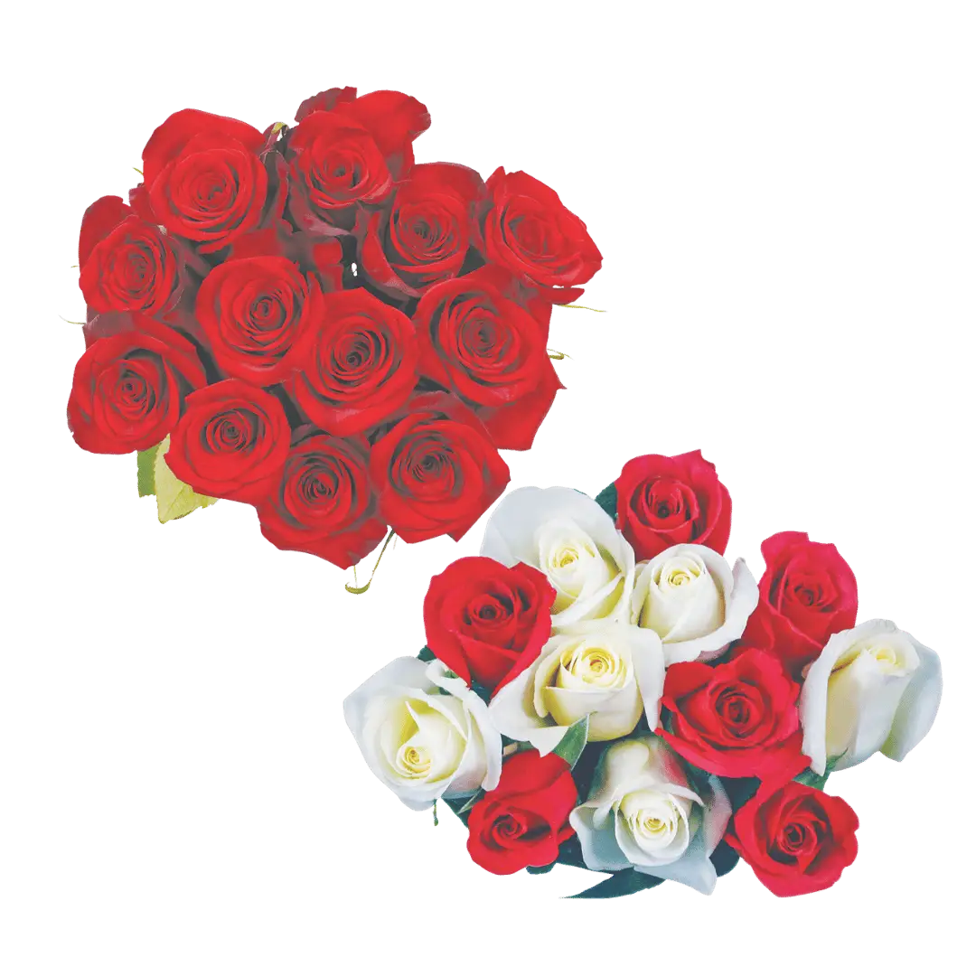 Dozen Rose Bunch $11.99 ea