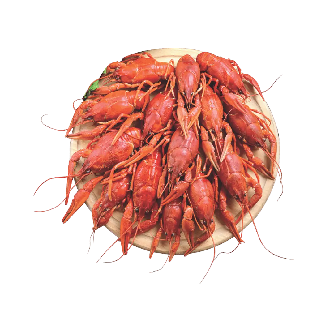 Live Louisiana Crawfish $6.99 lb