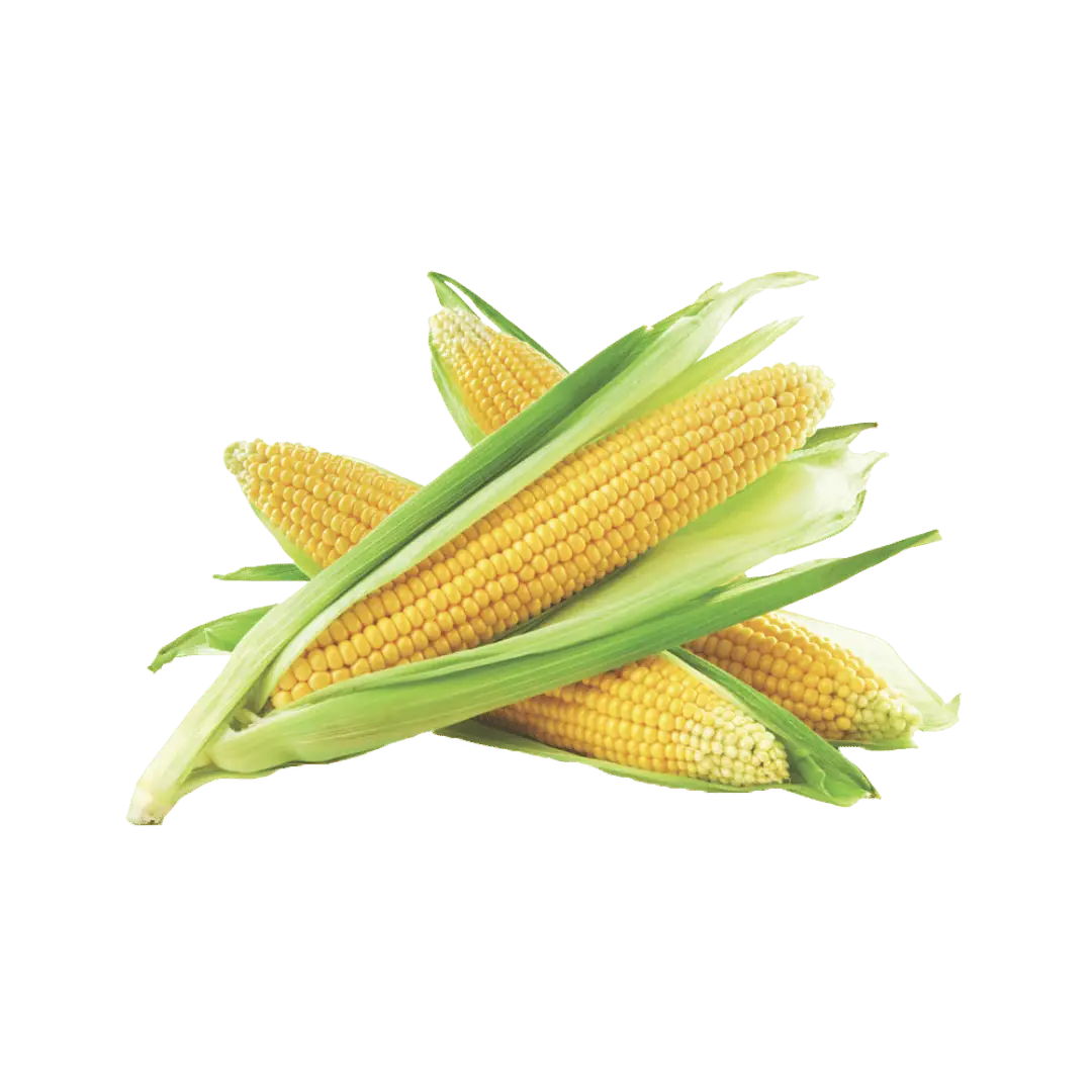 Sweet Corn 3 / 97¢