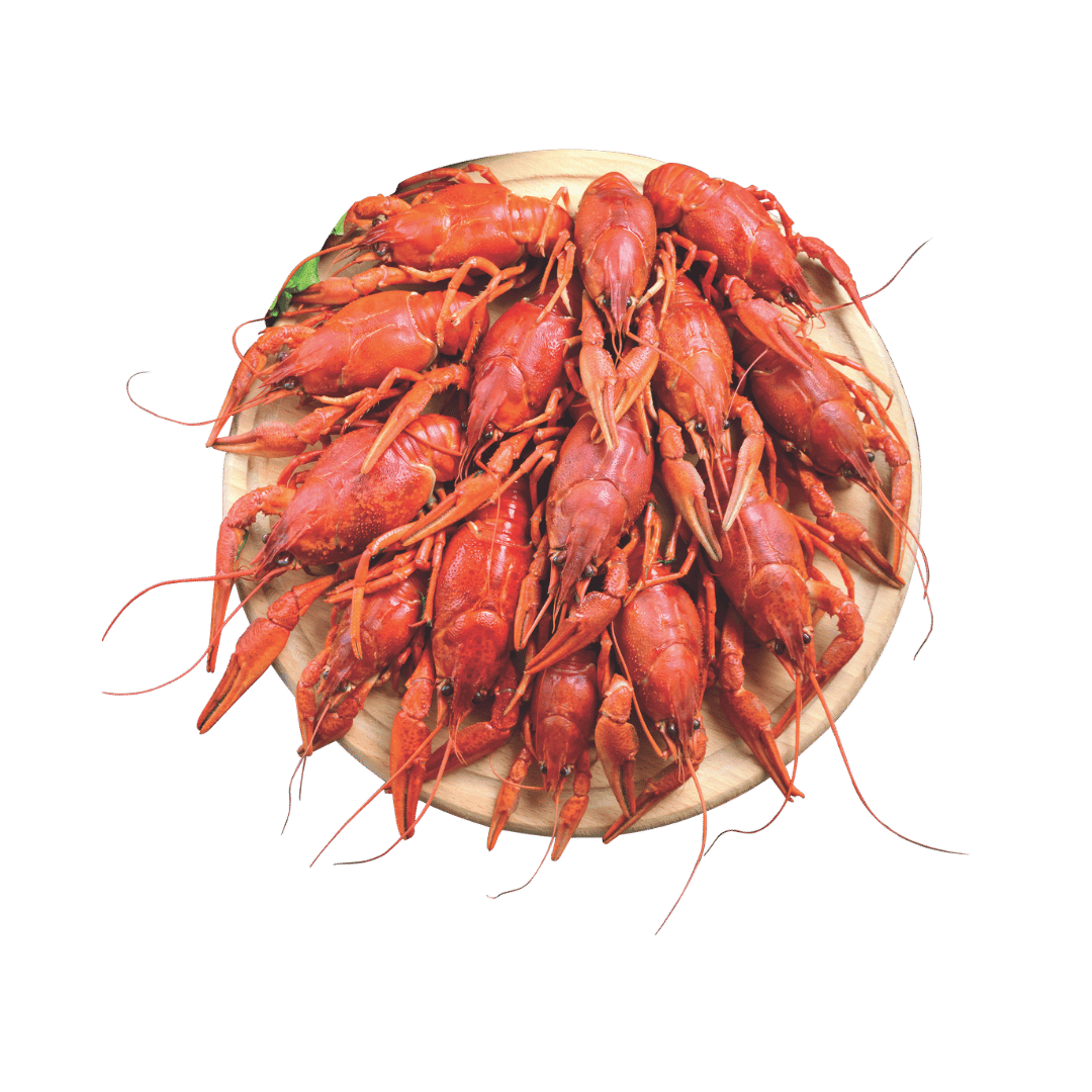 Crawfish Vivo de Louisiana $3.99 lb