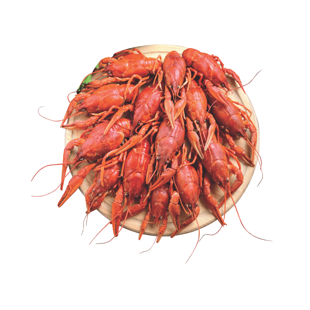 Live Louisiana Crawfish $4.99 lb