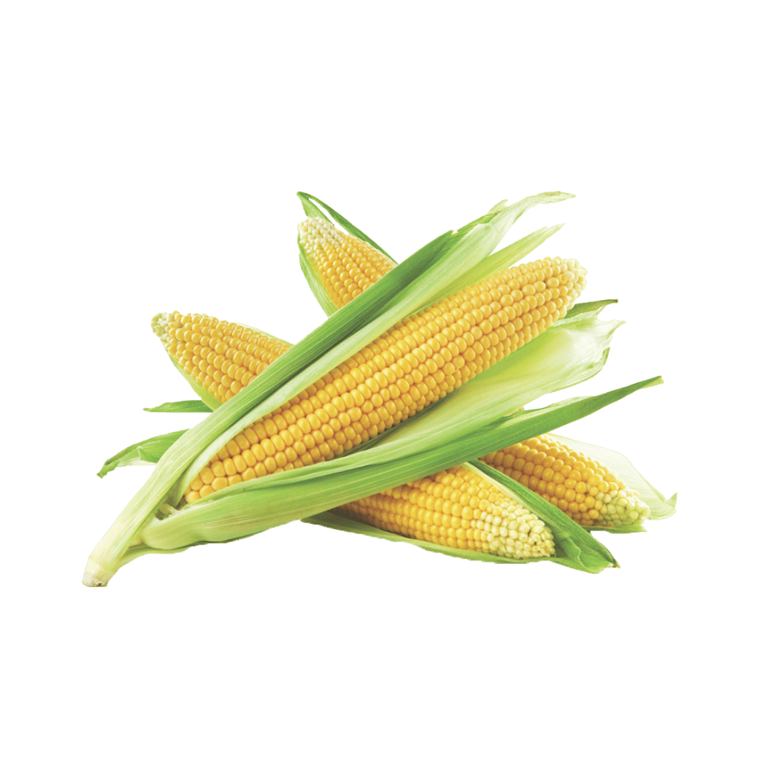 Sweet Corn 2 / 99¢