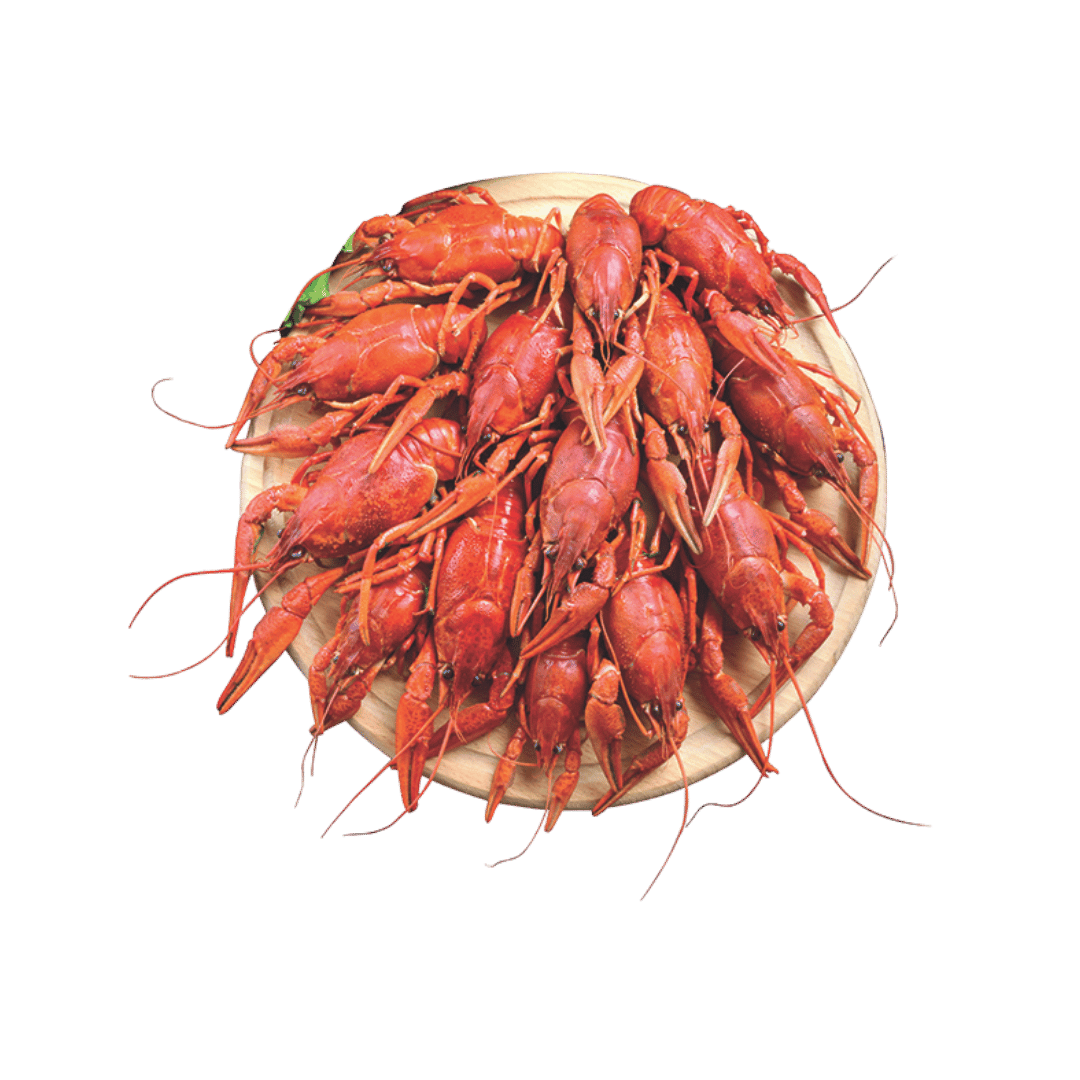 Live Louisiana Crawfish $3.99 lb