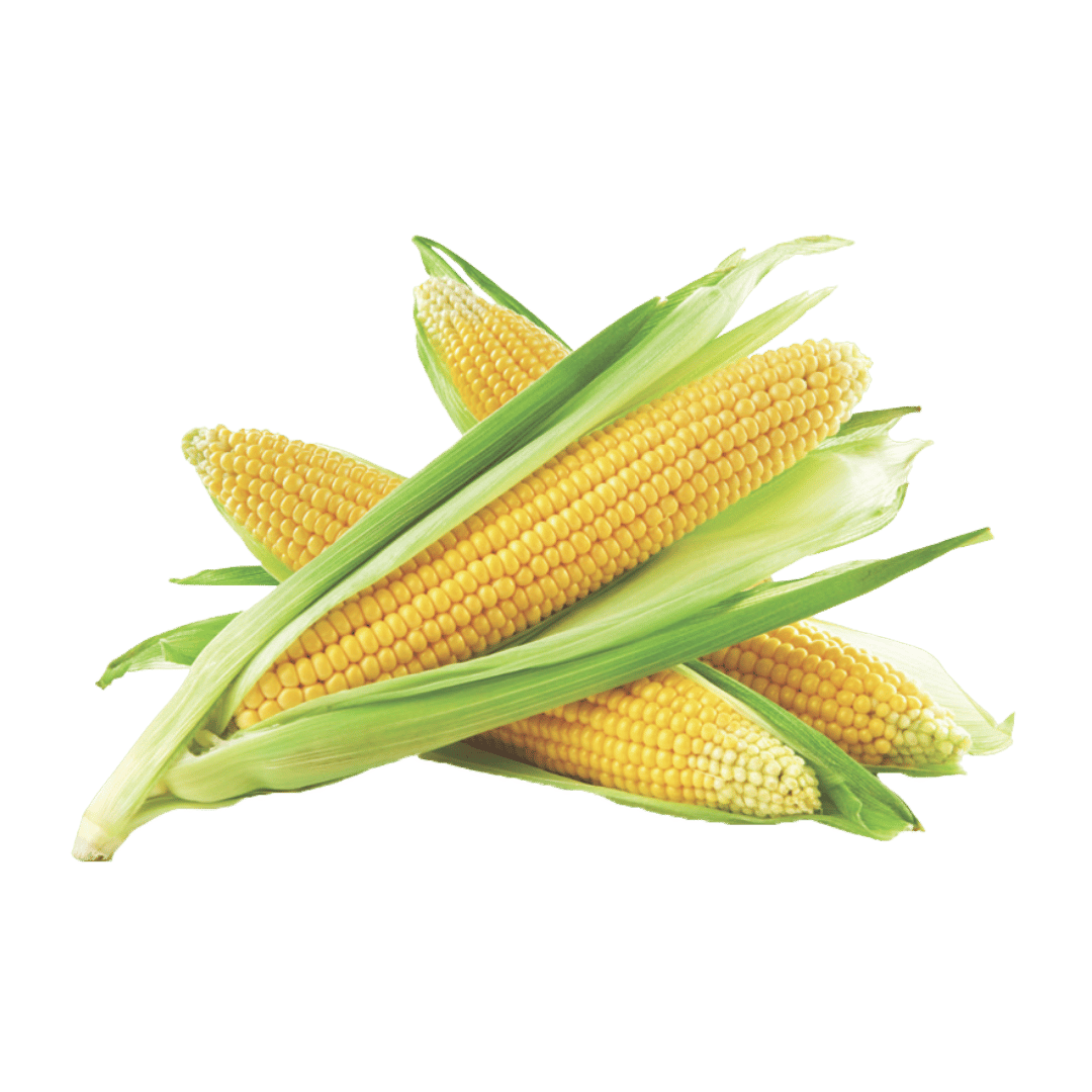 Sweet Corn 2/99¢ 