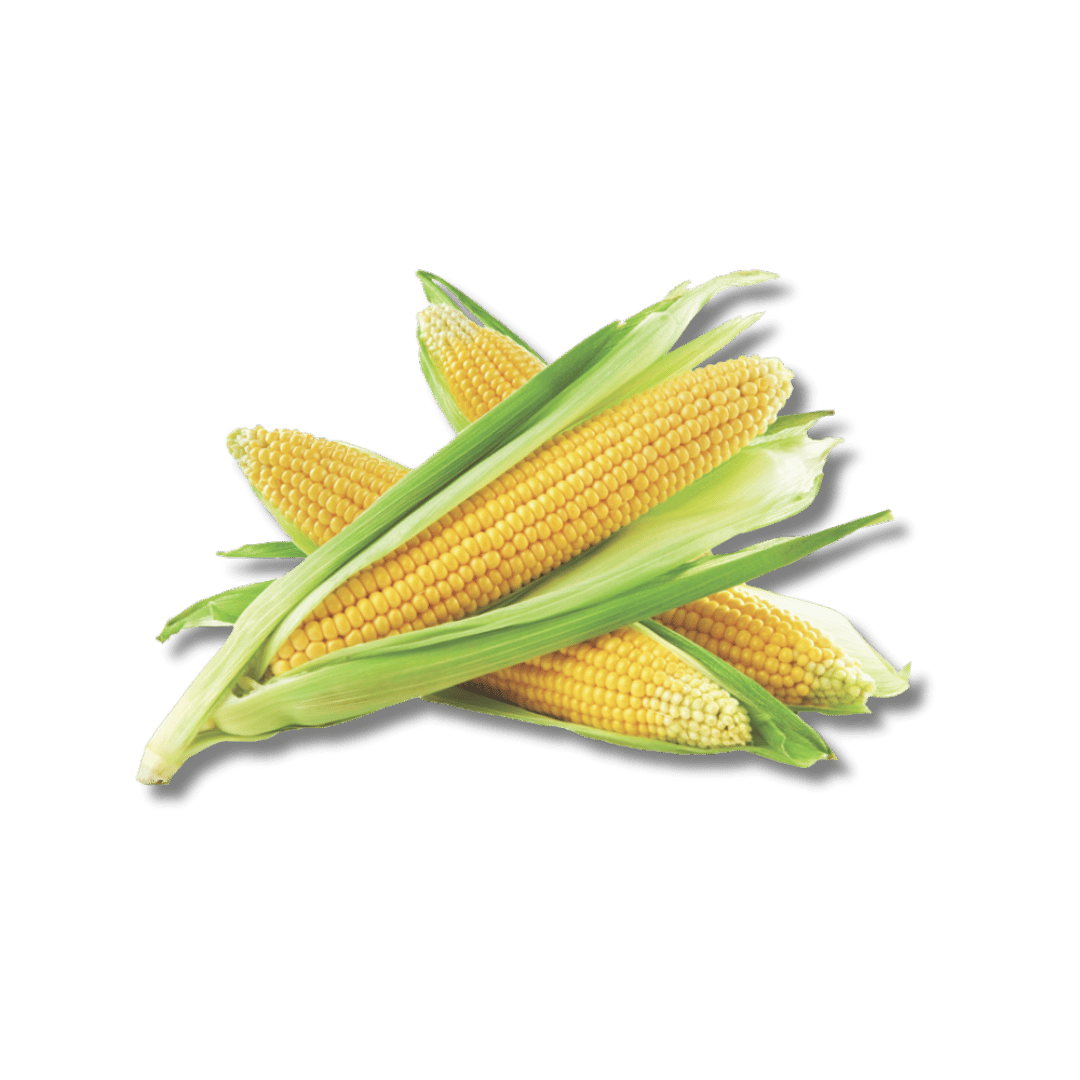 Sweet Corn 2/99¢