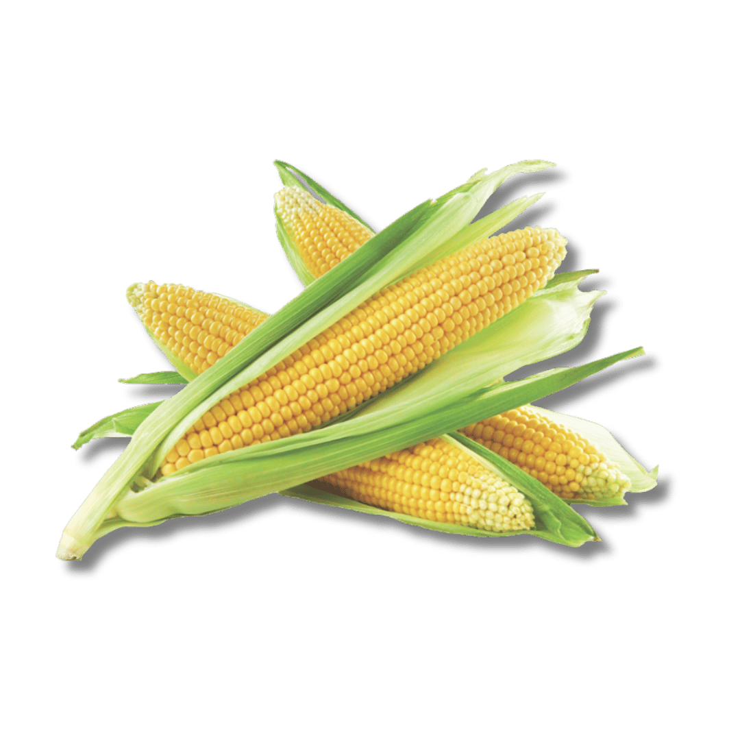 Sweet Corn 3/99¢